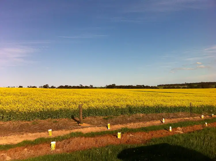 Sixth view of Homely rural property listing, 0 Burrumbeep Road, Maroona VIC 3377