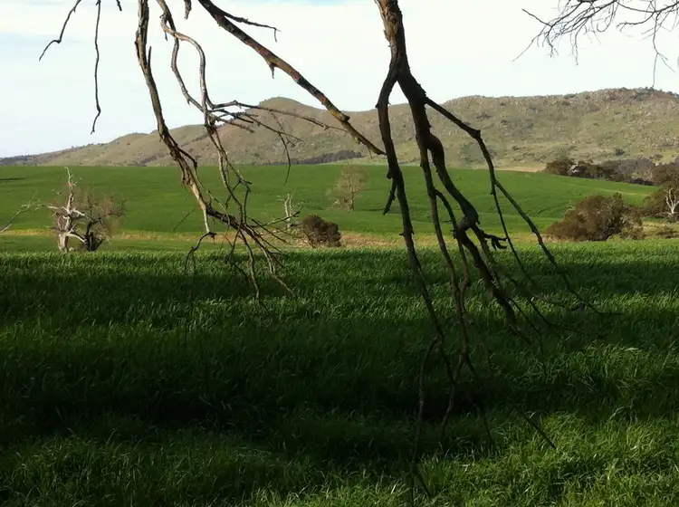 Seventh view of Homely rural property listing, 0 Burrumbeep Road, Maroona VIC 3377