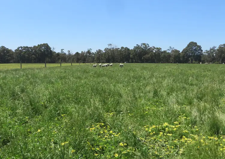 Seventh view of Homely rural property listing, 4254 Donnybrook Boyup Brook Rd, Wilga WA 6243