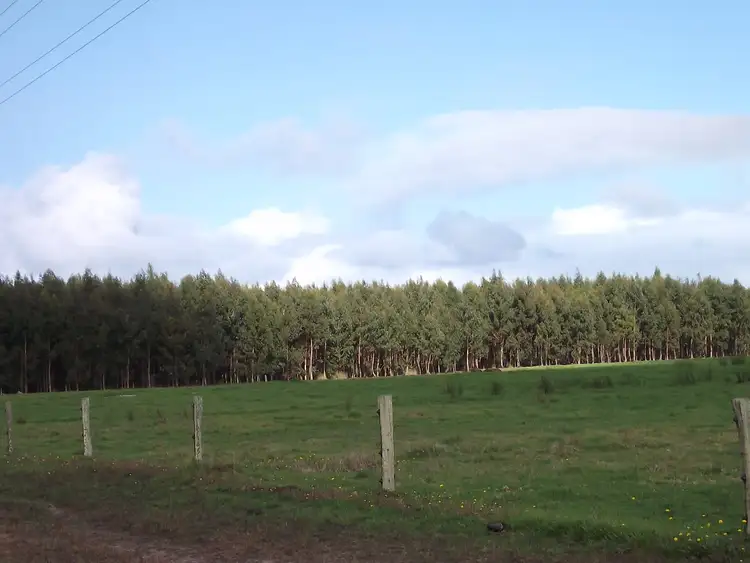 Fourth view of Homely rural property listing, "Dunmore" Governor Broome Road, Scott River WA 6288