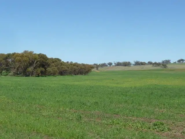 Second view of Homely rural property listing, Lot 2539 Cooke Road, Westdale WA 6304