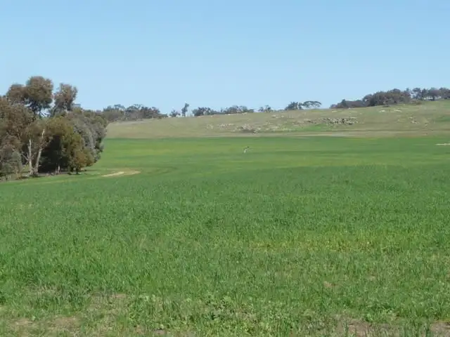 Fourth view of Homely rural property listing, Lot 2539 Cooke Road, Westdale WA 6304