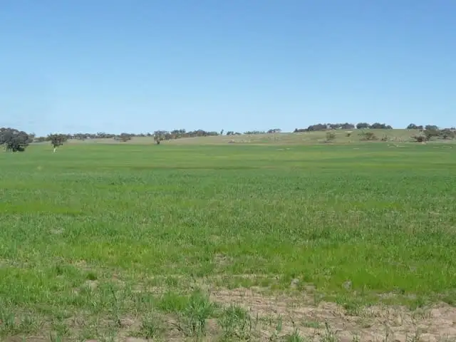 Fifth view of Homely rural property listing, Lot 2539 Cooke Road, Westdale WA 6304