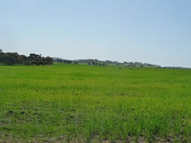 Seventh view of Homely rural property listing, Lot 2539 Cooke Road, Westdale WA 6304