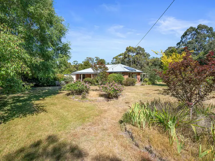 31 Panatana Drive