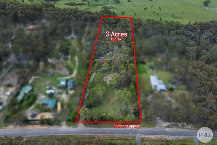 100 Grevillea Drive