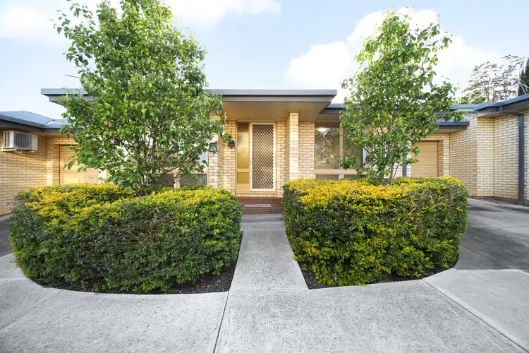 5 Ferguson Avenue
