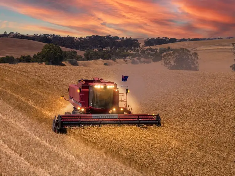 'Khiyam' Thiele Highway