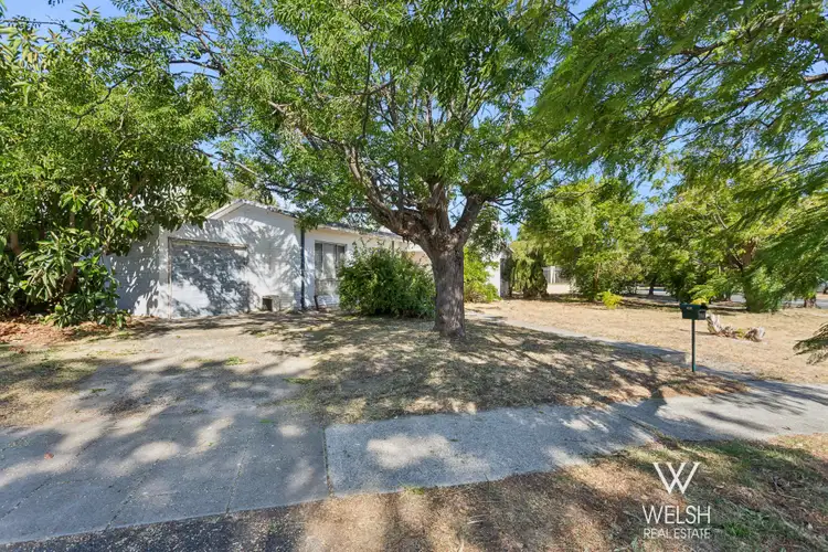 74 Alvah Street