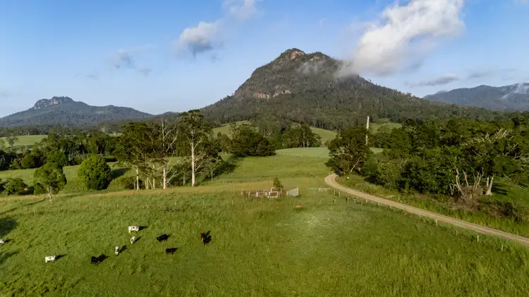 Second view of Homely rural property listing, 63 Mount Coxcomb Road, Upper Lansdowne NSW 2430