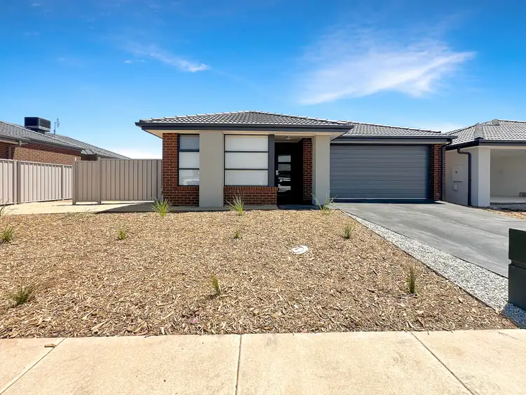 31 Livingston Bvd