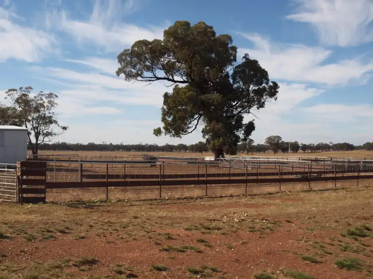 Sixth view of Homely rural property listing, Address available on request