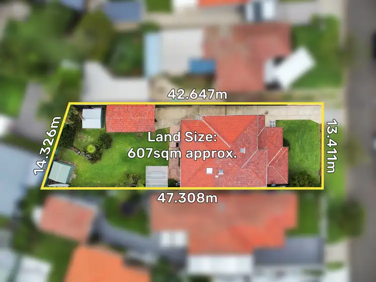 Second view of Homely house listing, 3 Sandra Crescent, Roselands NSW 2196