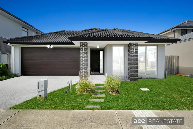 36 Fogarty Street