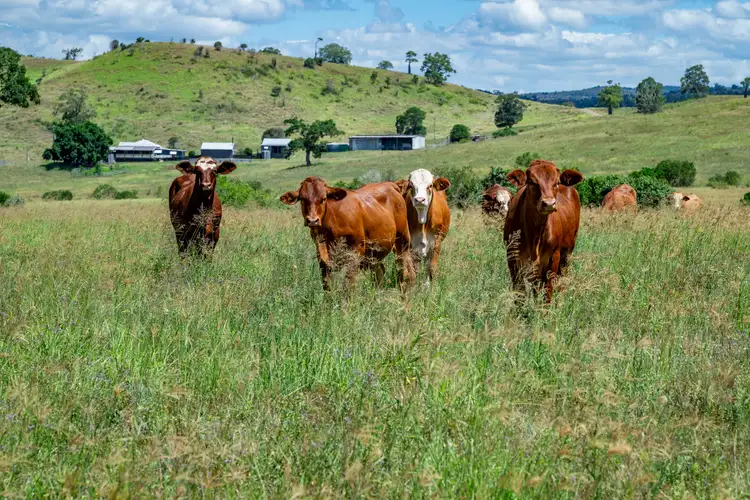 'Double Knob' Nangur Road