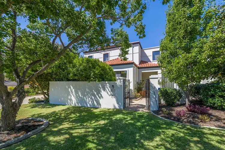 3 Potter Avenue