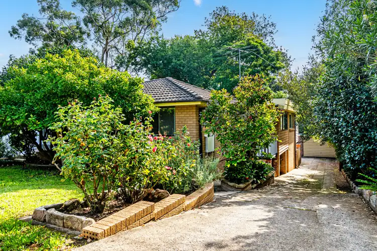 24 Orange Grove