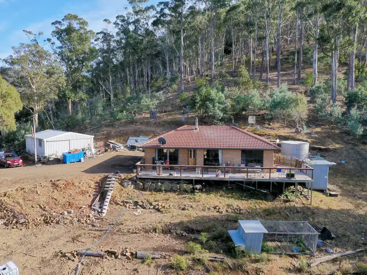 350 Black Hills Road