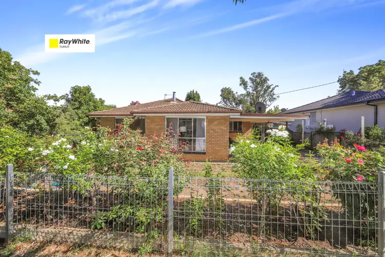 31 Quandong Avenue