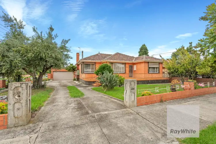 35 Messmate Street