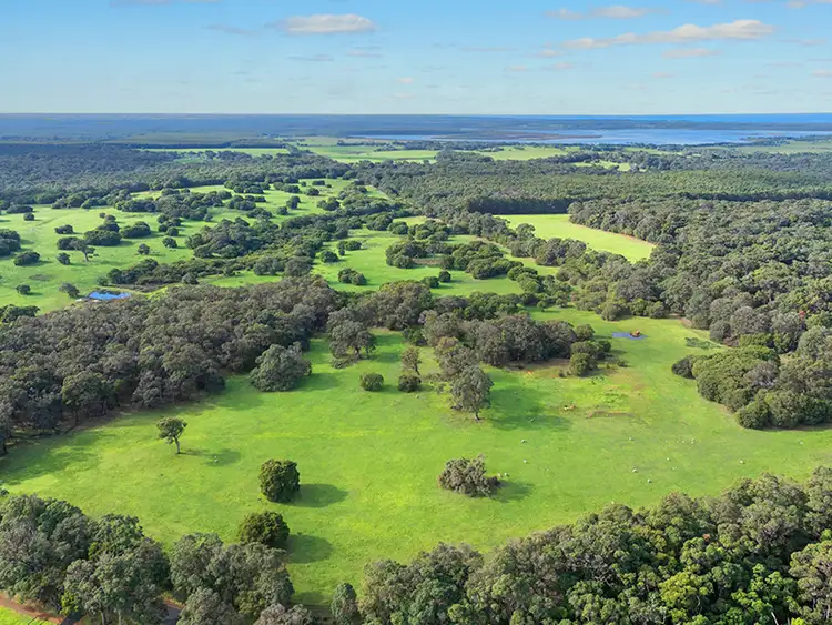 Blackwood Grove