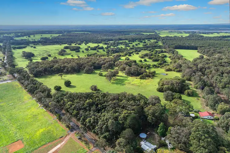 Blackwood Grove