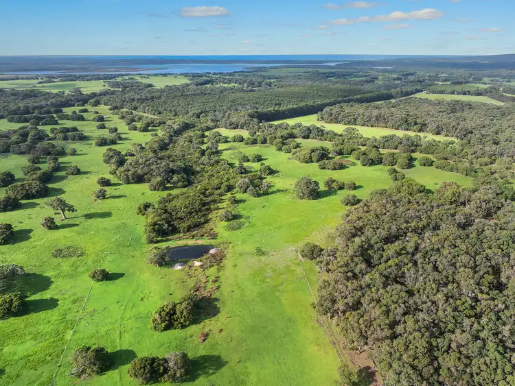 Blackwood Grove
