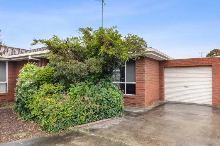 5/41 Rugby Street
