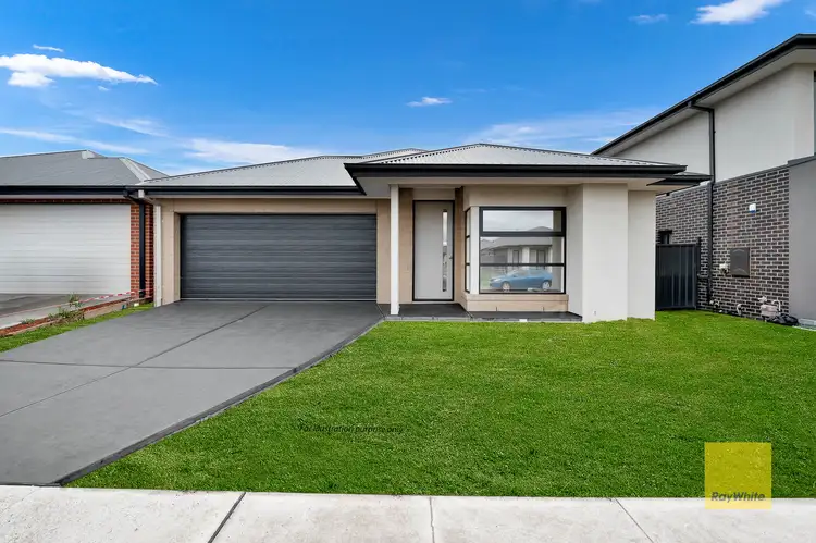 12 Tekapo Street