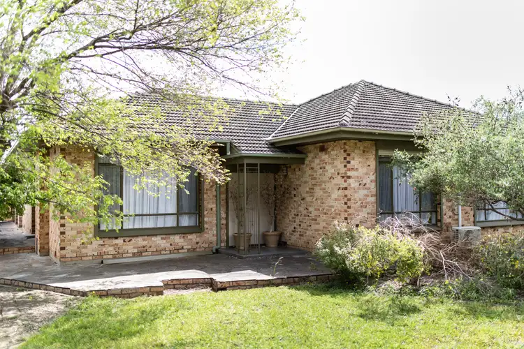 53 Central Avenue