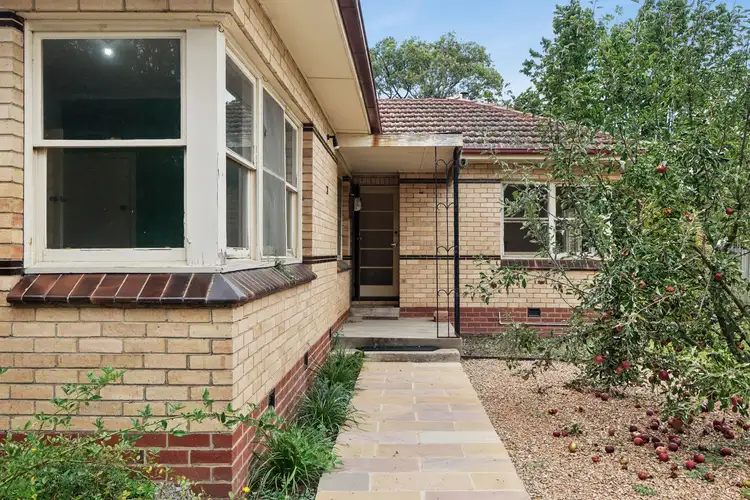 24 Edgecombe Street