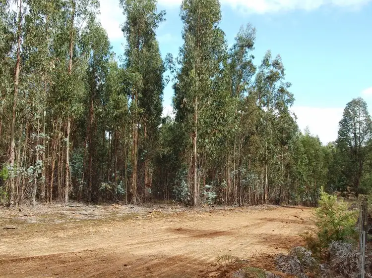 Third view of Homely rural property listing, 4153 Cardac Road, Manjimup WA 6258