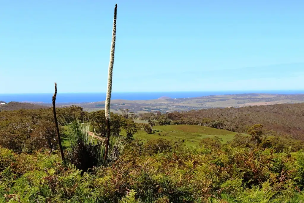 Main view of Homely rural property listing, A22 Strangways Road, Inman Valley SA 5211
