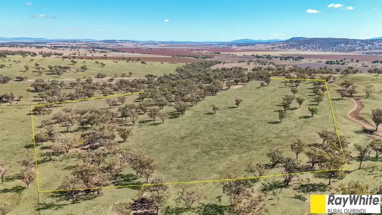 981 Merriwa Road, WARRAH