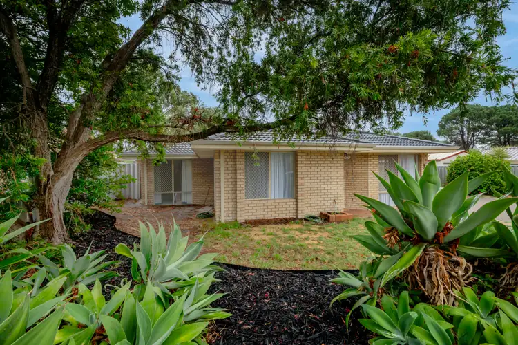 3 Bunderra Close