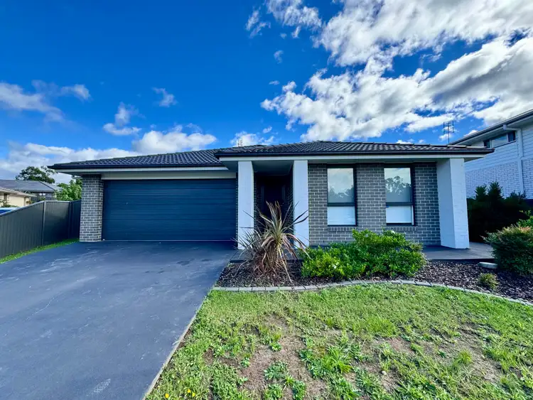 31 Mountain Ash