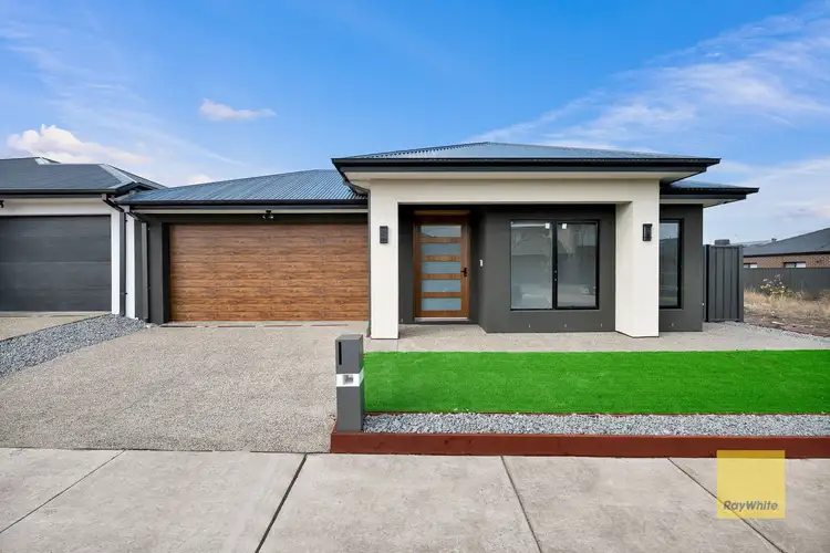 55 Cotter Way