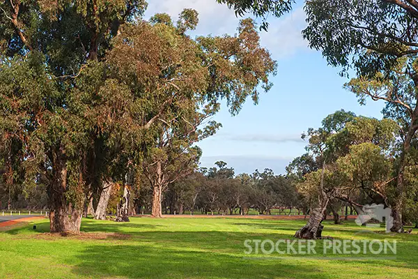 Fifth view of Homely land listing, Lot 234 Bourne Loop, Stratham WA 6237
