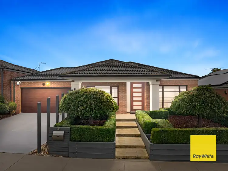 40 Chicory Street