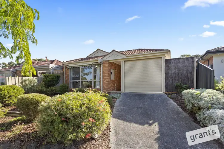 19A Tilba Court