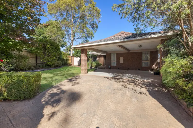 3 Bambil Court