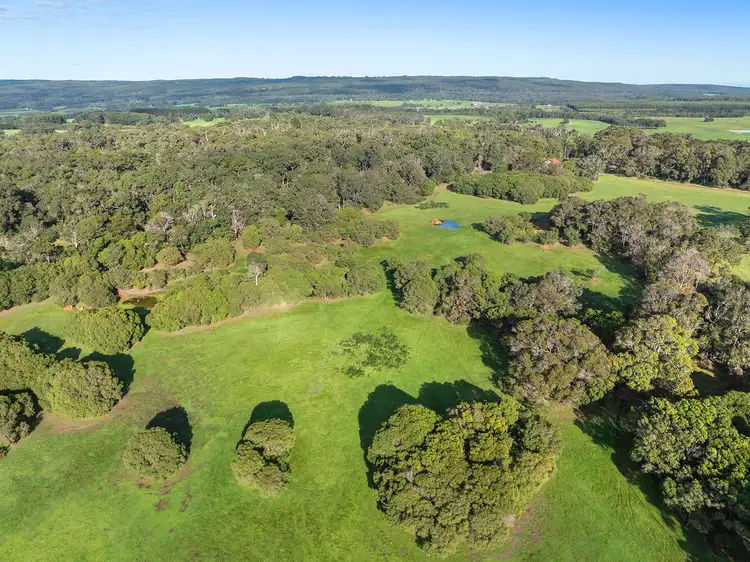 Blackwood Grove
