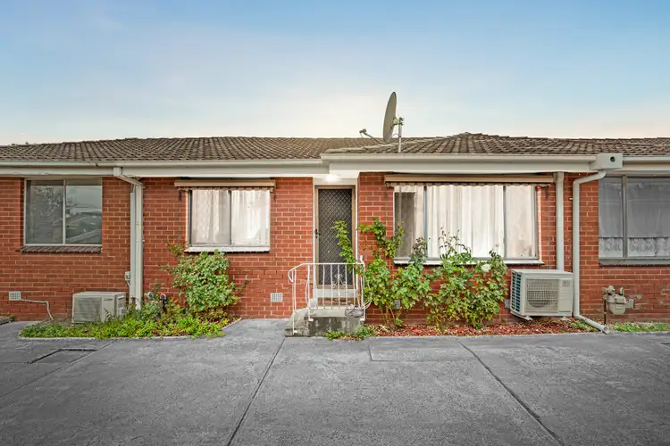24 Pell Street