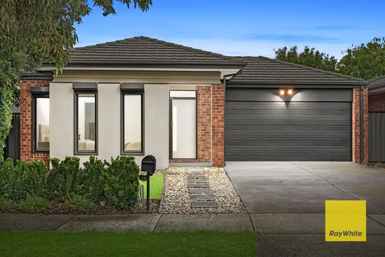 19 Chicory Street