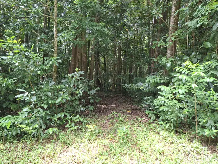 Lot 140 Quandong Road, Cow Bay
