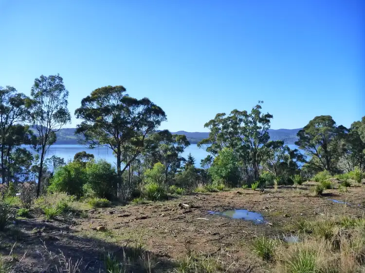 Main view of Homely land listing, 383 Deviot Road, Deviot TAS 7275