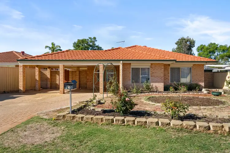 16 Senegal Grove