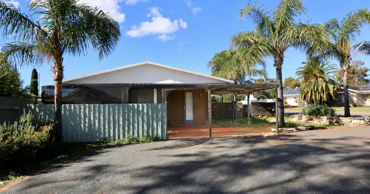 20 Pittosporum St
