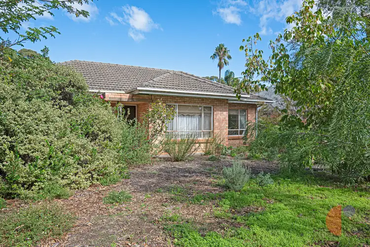 29 Alison Avenue