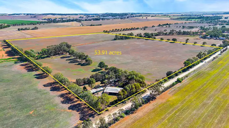 39 Goodfellow Road
